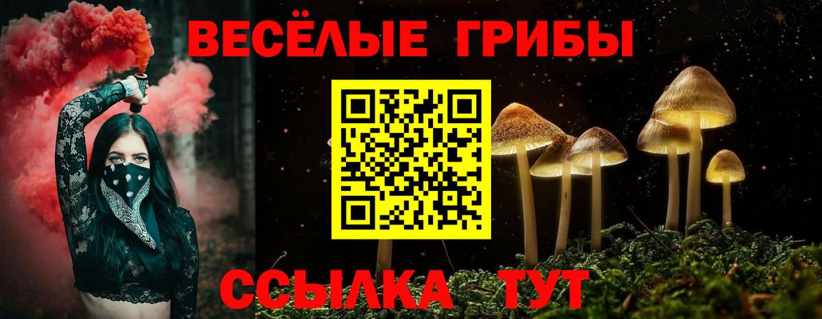 Псилоцибиновые грибы мухоморы Алушта